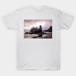 Moody view of Grandmother Rock T-Shirt